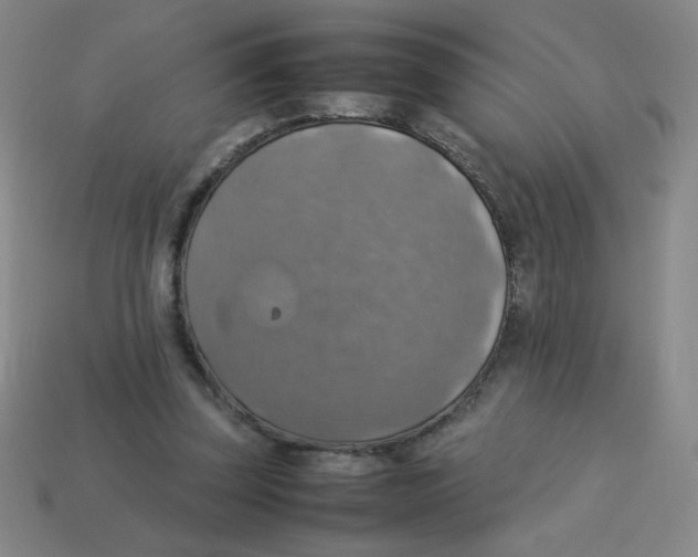 X0000113780347200910211210