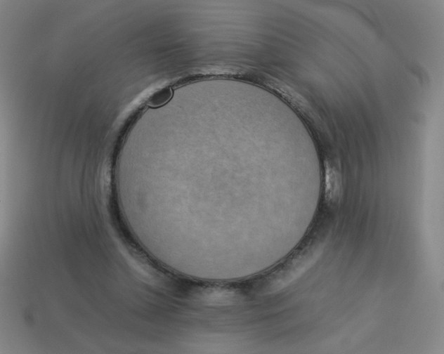 X0000113780348200910211210
