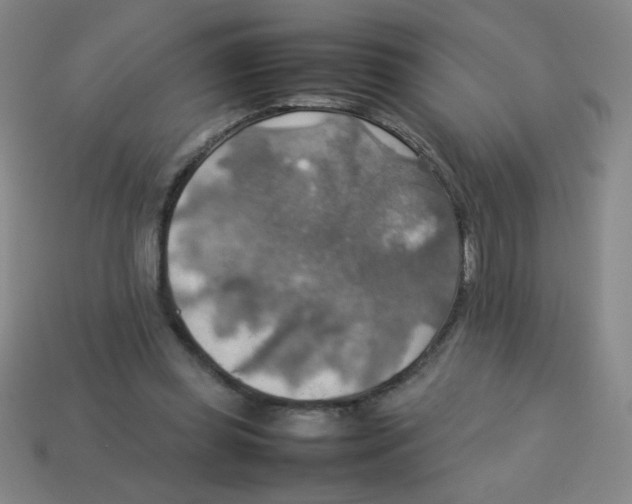 X0000113780349200910211210