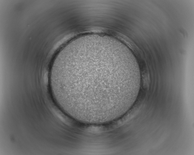 X0000113780350200910211210