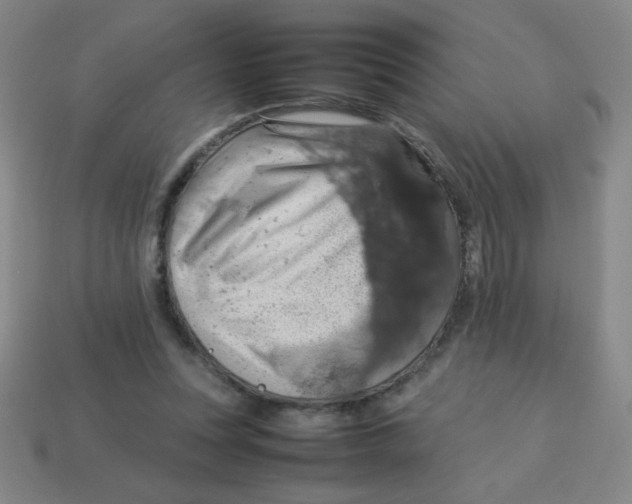 X0000113780351200910211210