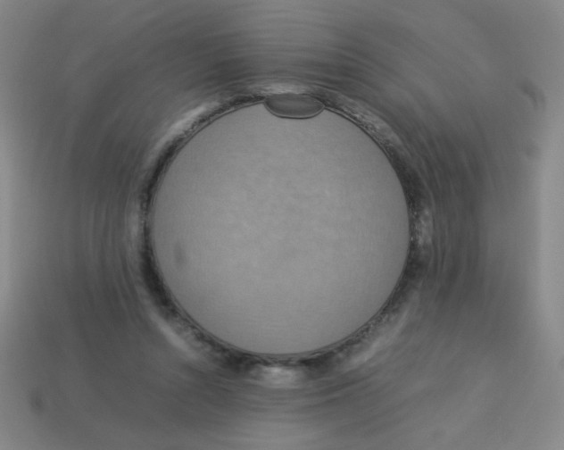X0000113780352200910211210