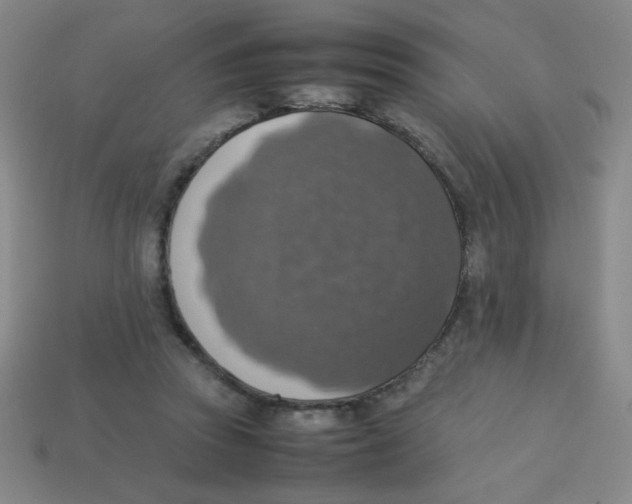 X0000113780353200910211210