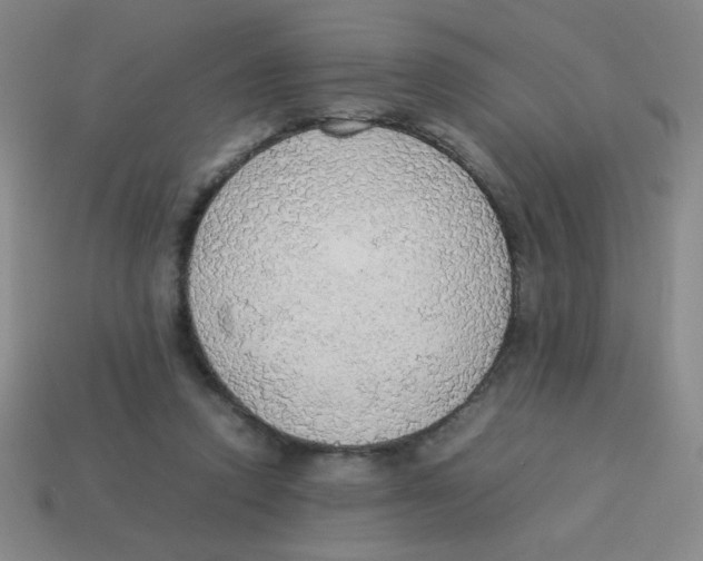 X0000113780354200910211210