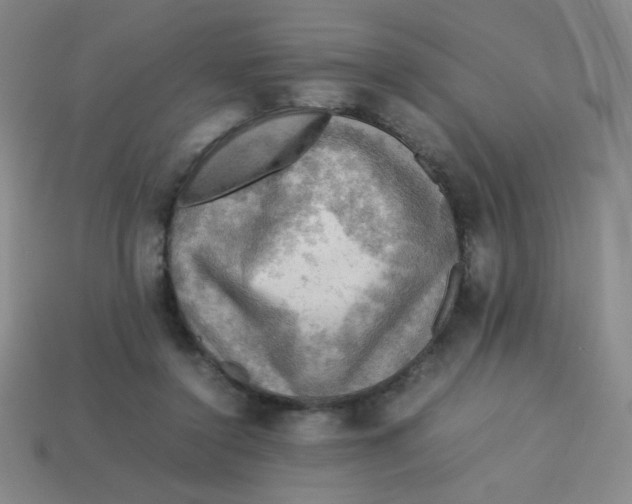 X0000113780356200910211210