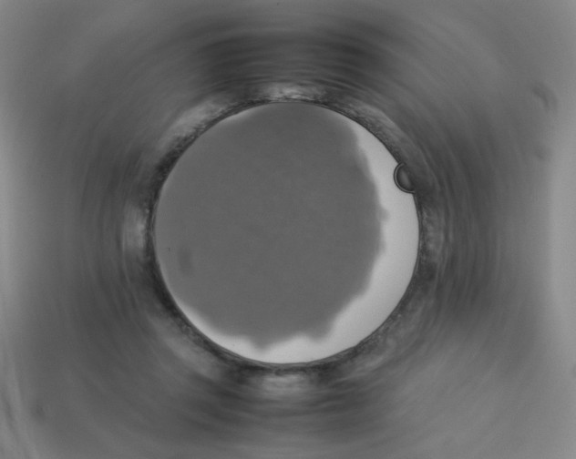 X0000113780357200910211210