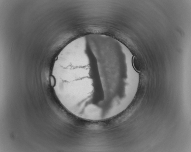 X0000113780358200910211210