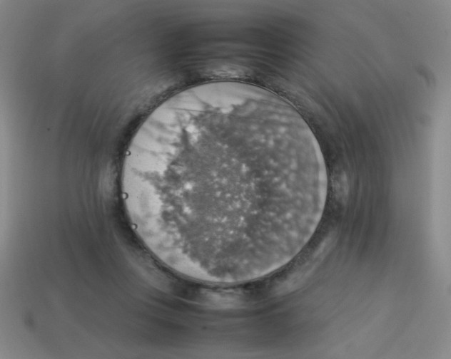 X0000113780359200910211210