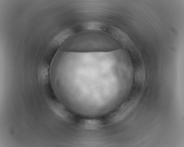 X0000113780360200910211210