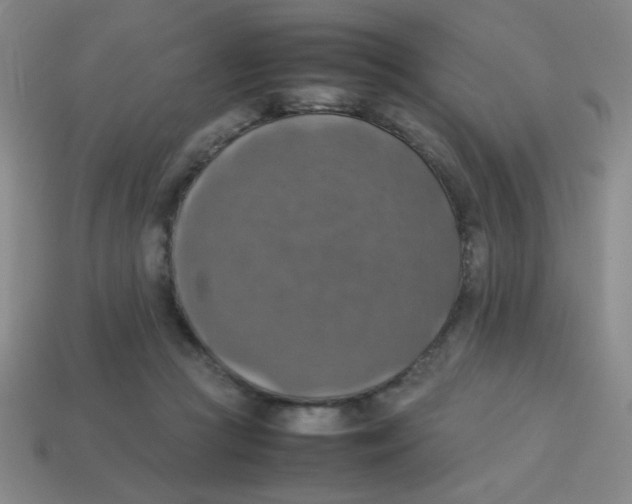 X0000113780361200910211210