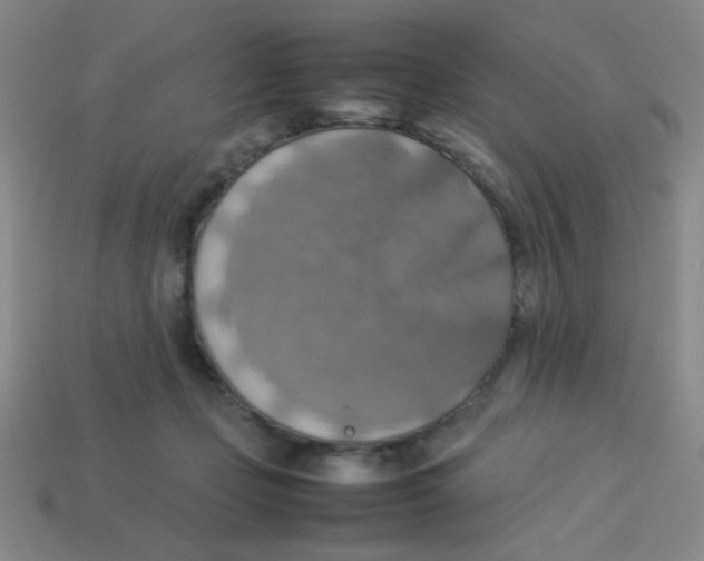X0000113780365200910211210