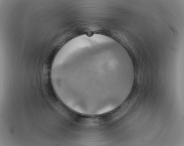 X0000113780366200910211211