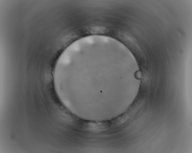 X0000113780367200910211211