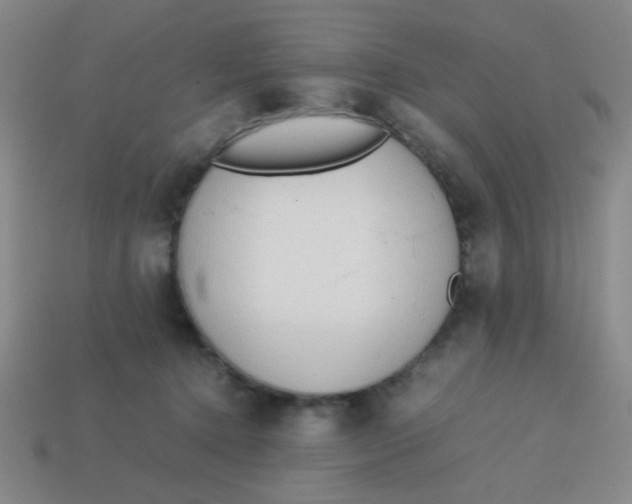 X0000113780368200910211211