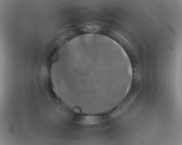 X0000113780371200910211211