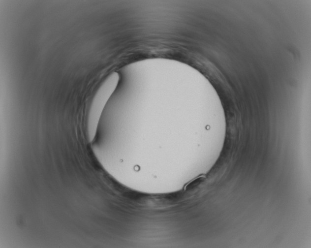 X0000113780372200910211211