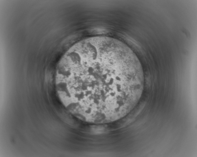 X0000113780373200910211211