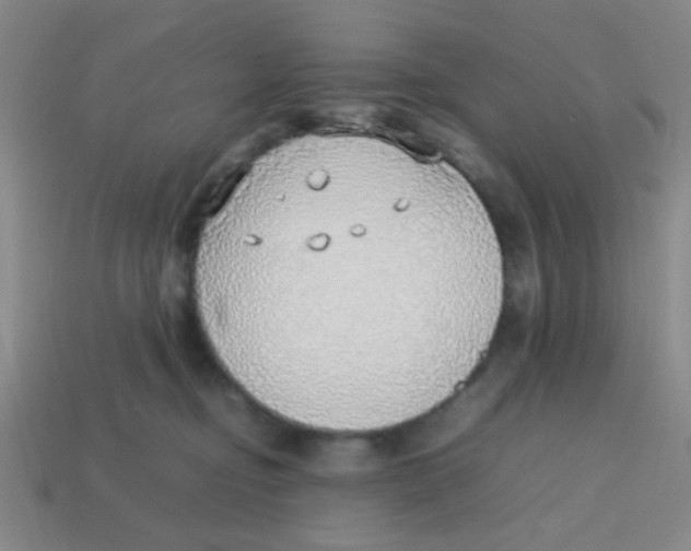X0000113780374200910211211