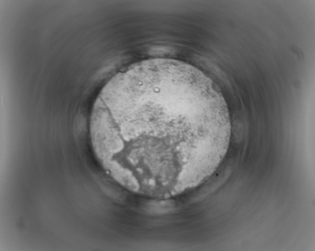 X0000113780375200910211211