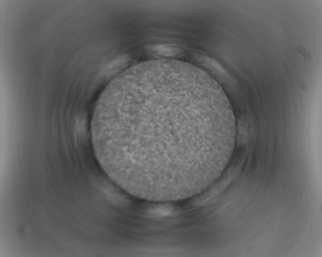 X0000113780377200910211211