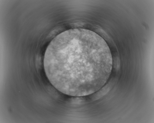 X0000113780378200910211211