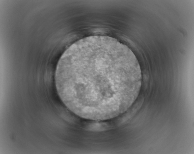 X0000113780379200910211211