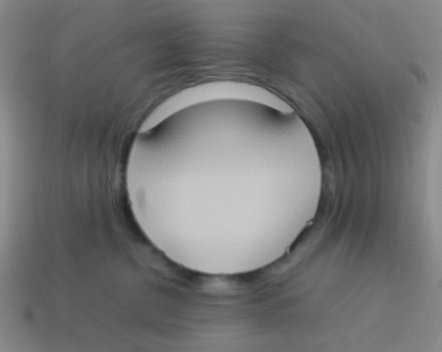 X0000113780380200910211211