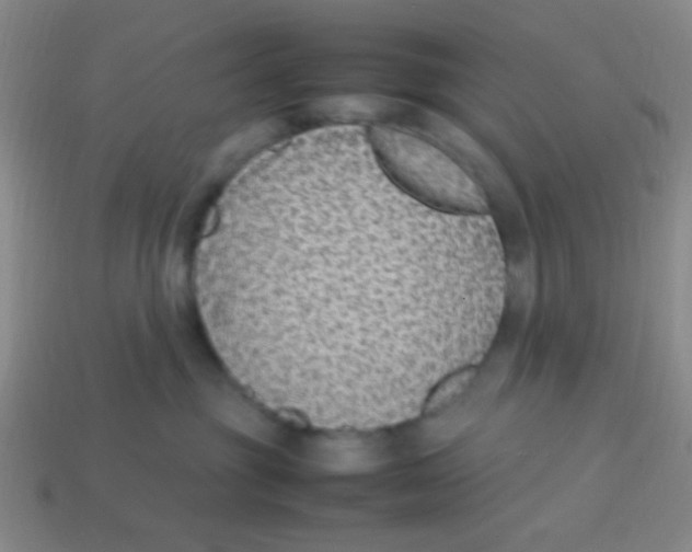 X0000113780381200910211211