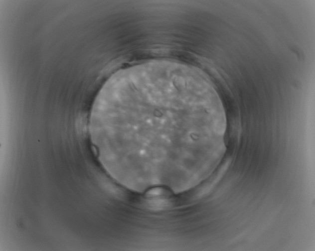 X0000113780383200910211211