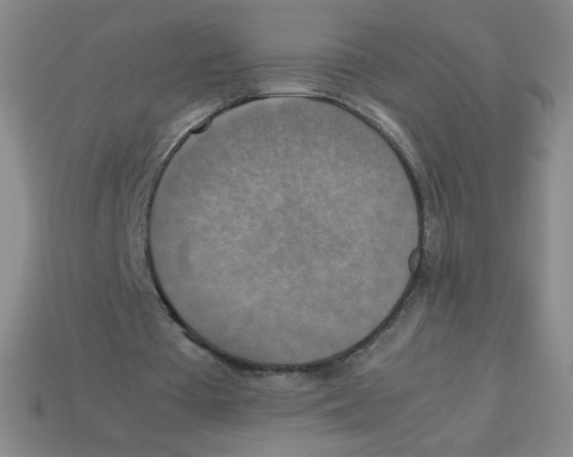 X0000113780385200910211210