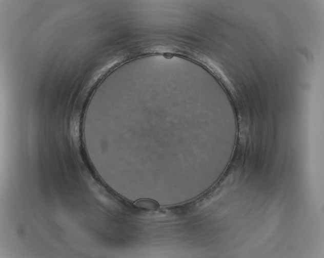 X0000113780386200910211210