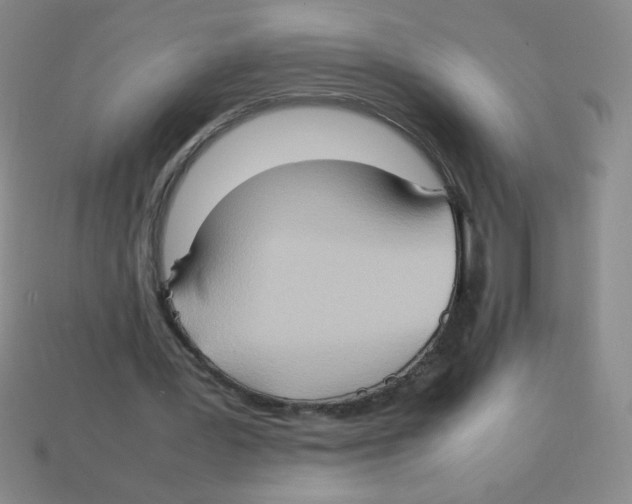 X0000113780387200910211210