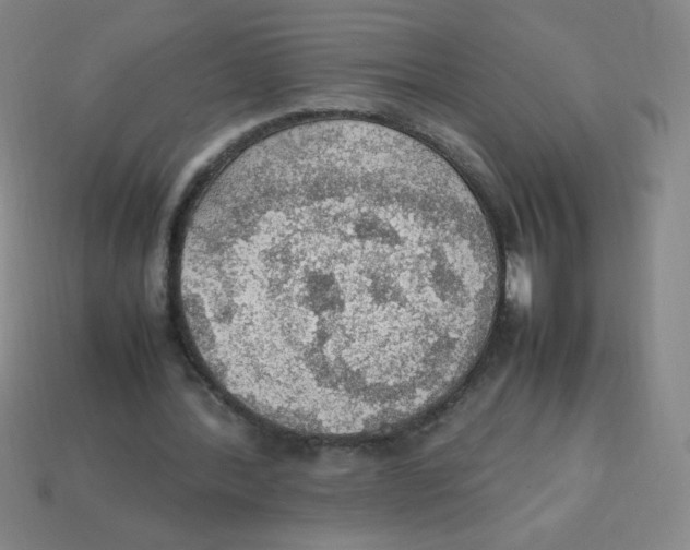 X0000113780388200910211210
