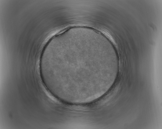 X0000113780389200910211210