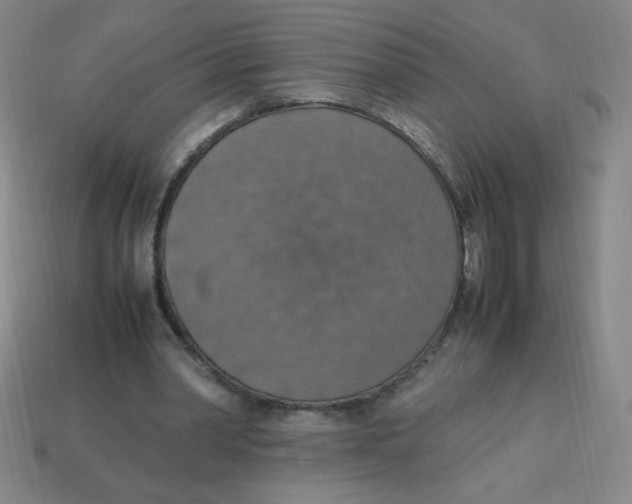 X0000113780390200910211210