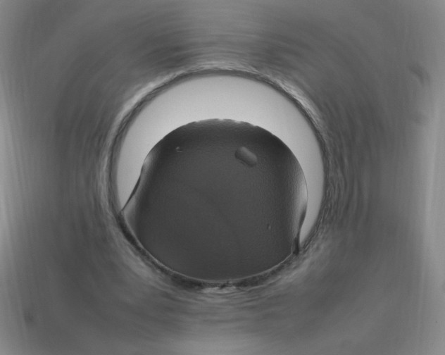 X0000113780391200910211210