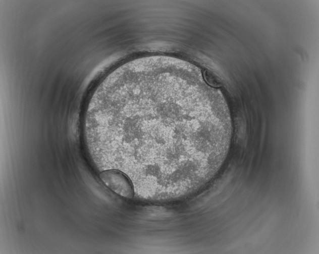 X0000113780392200910211210