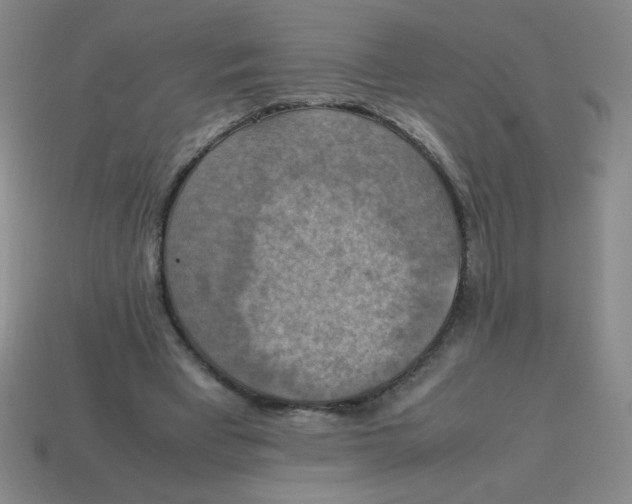 X0000113780393200910211210