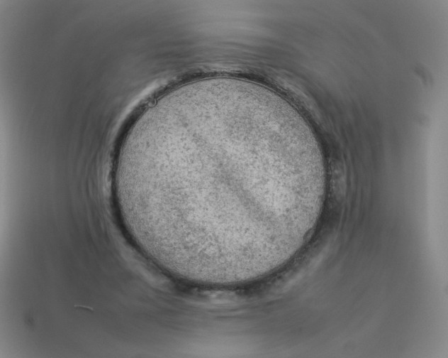 X0000113780395200910211210