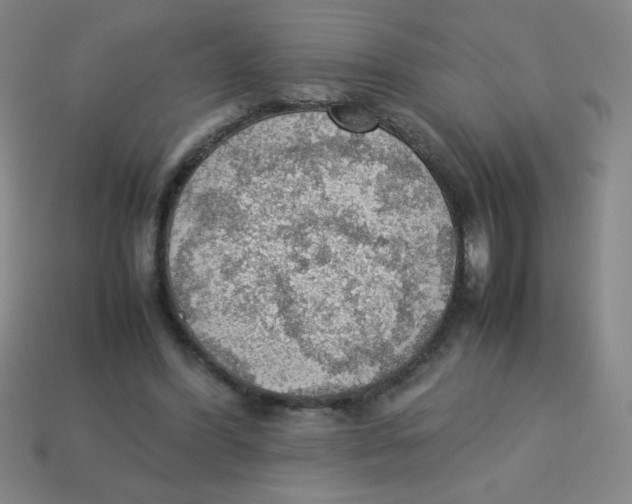 X0000113780396200910211210