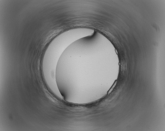 X0000113780397200910211210