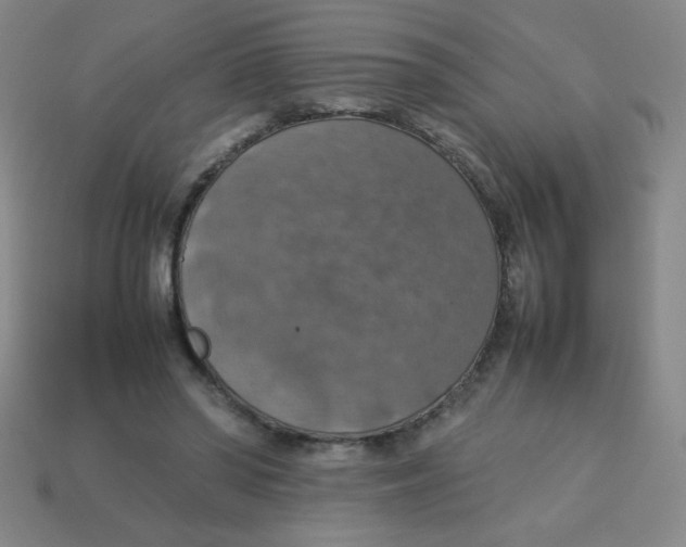 X0000113780398200910211210