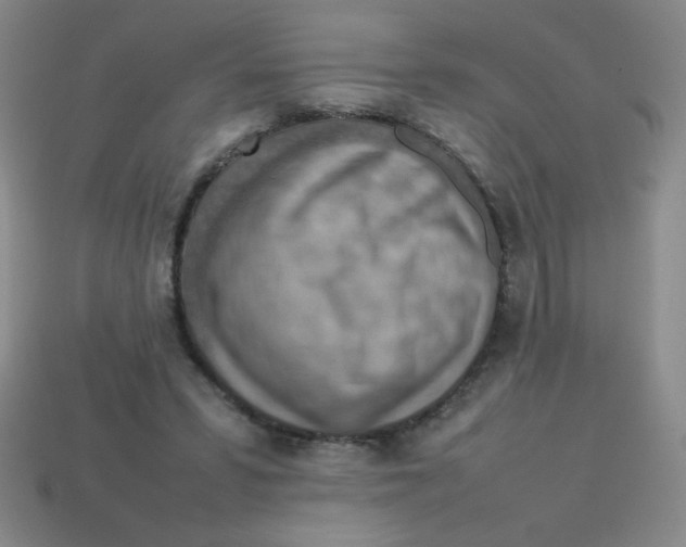X0000113780399200910211210