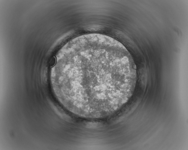 X0000113780400200910211210