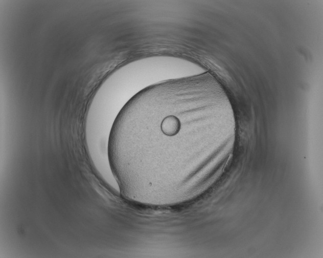 X0000113780401200910211210