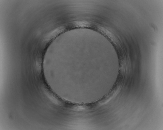 X0000113780402200910211210