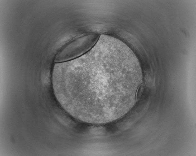 X0000113780403200910211210
