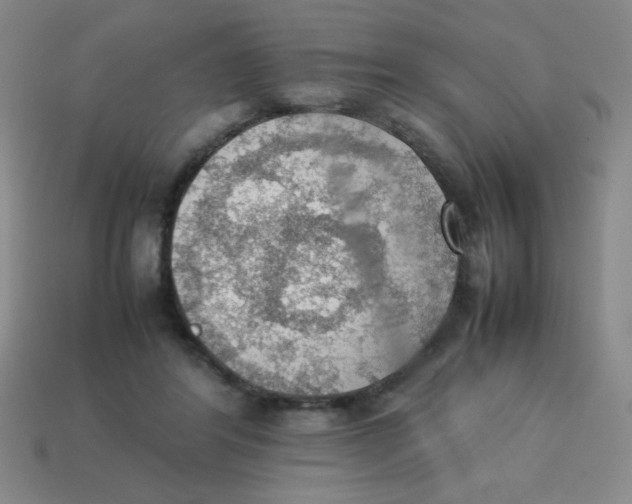 X0000113780404200910211210