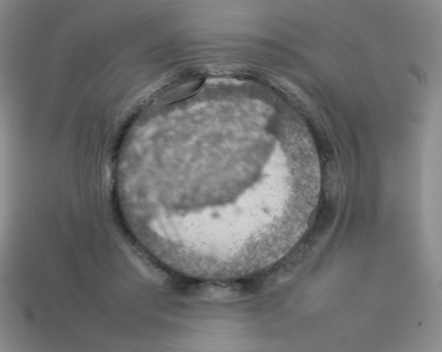 X0000113780405200910211210