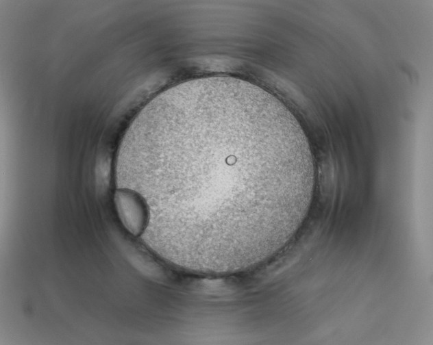 X0000113780406200910211210